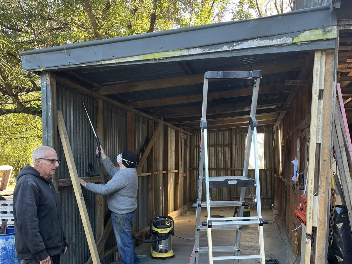 Leithfield Beach shed photo 2