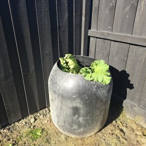 Compost bin