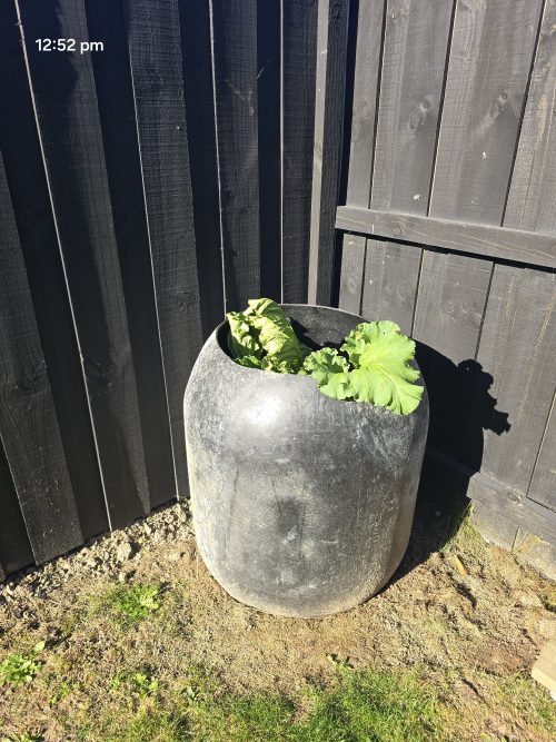 Compost bin